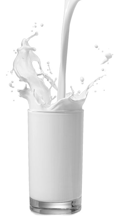 Молоко “Пармалат” 1л