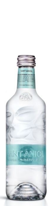 Sant Aniol ("Сант Аниол") 0.33л б/г