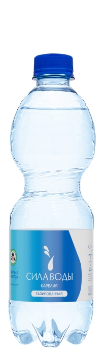 “Сила воды Карелия” 0.5л газ.